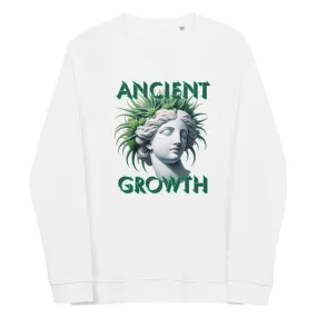 Ancient Growth men's organic raglan sweatshirt