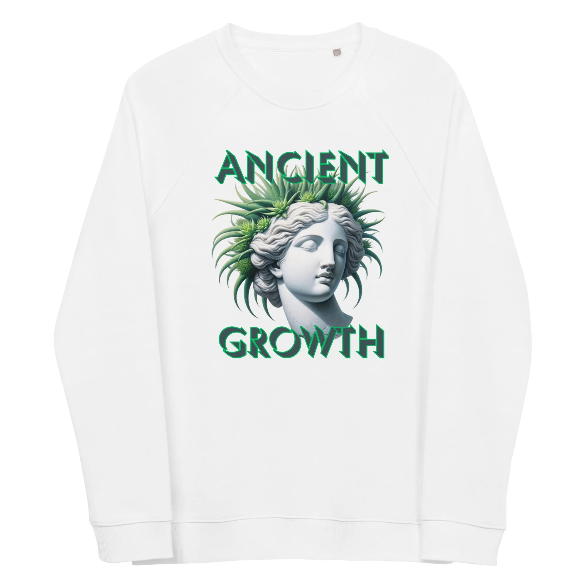 Ancient Growth men's organic raglan sweatshirt