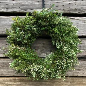 Boxwood Wreath